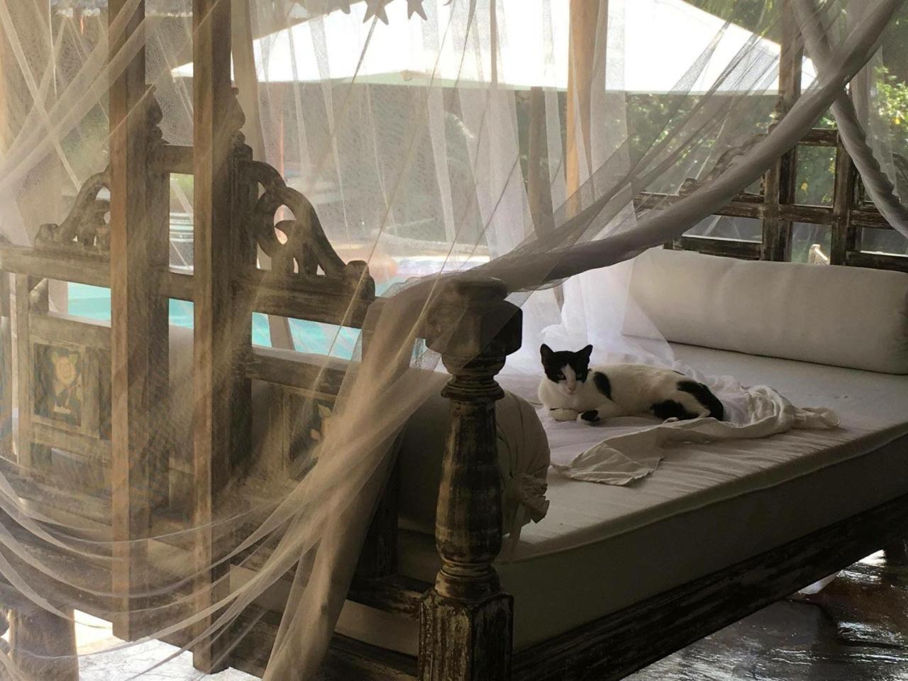 Pashmina House Bed & Breakfast Watamu Eksteriør bilde