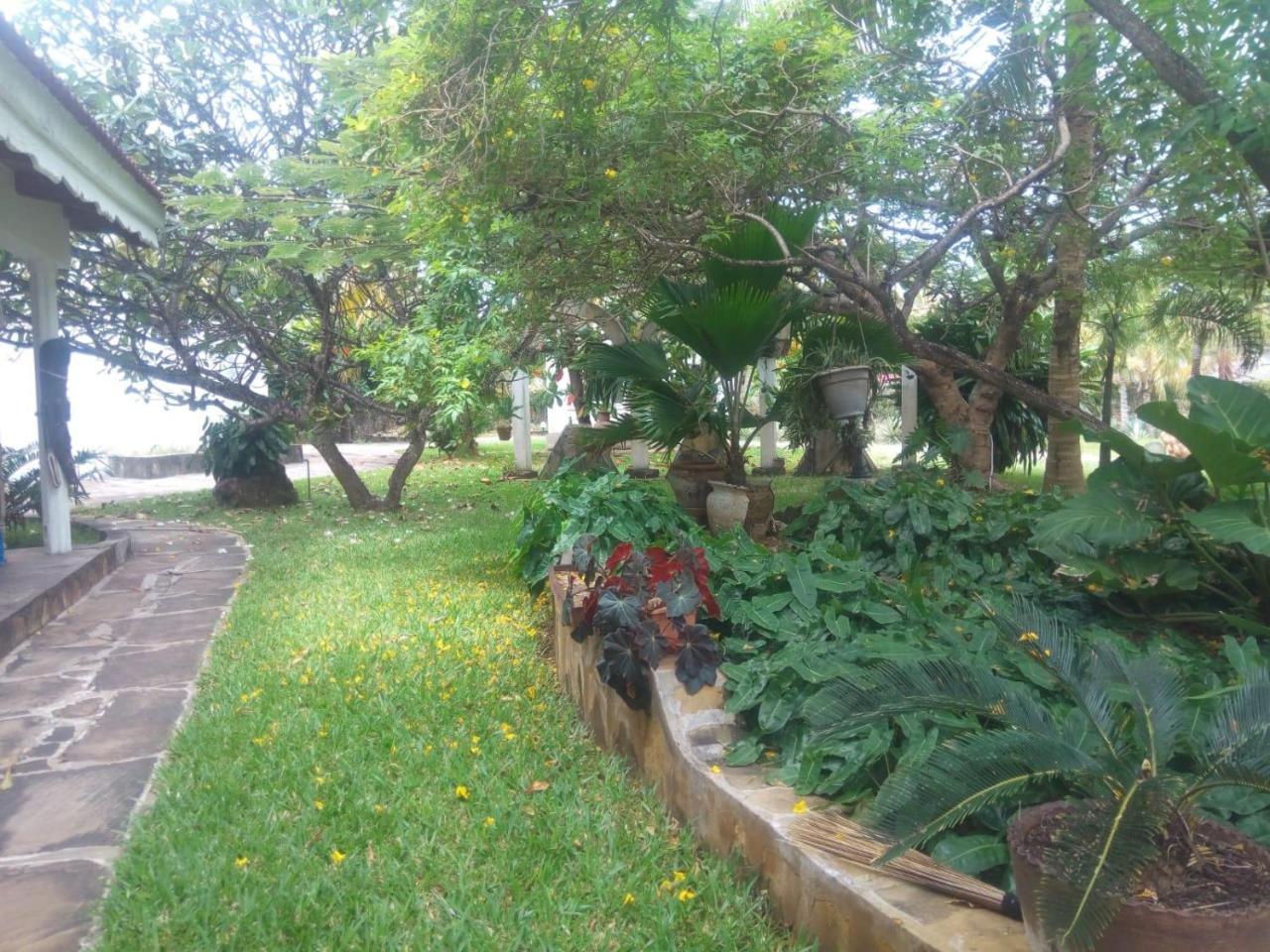 Pashmina House Bed & Breakfast Watamu Eksteriør bilde