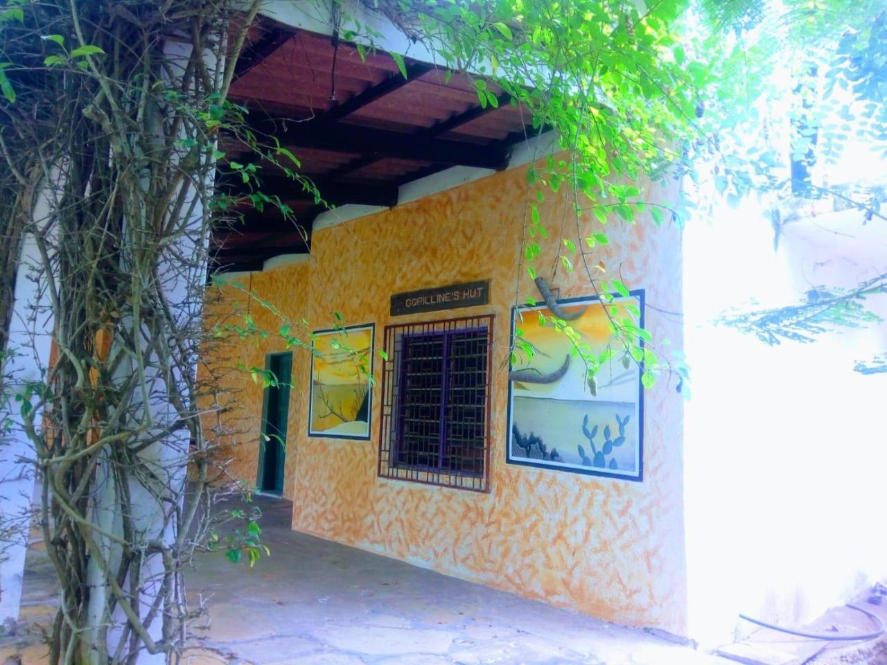 Pashmina House Bed & Breakfast Watamu Eksteriør bilde