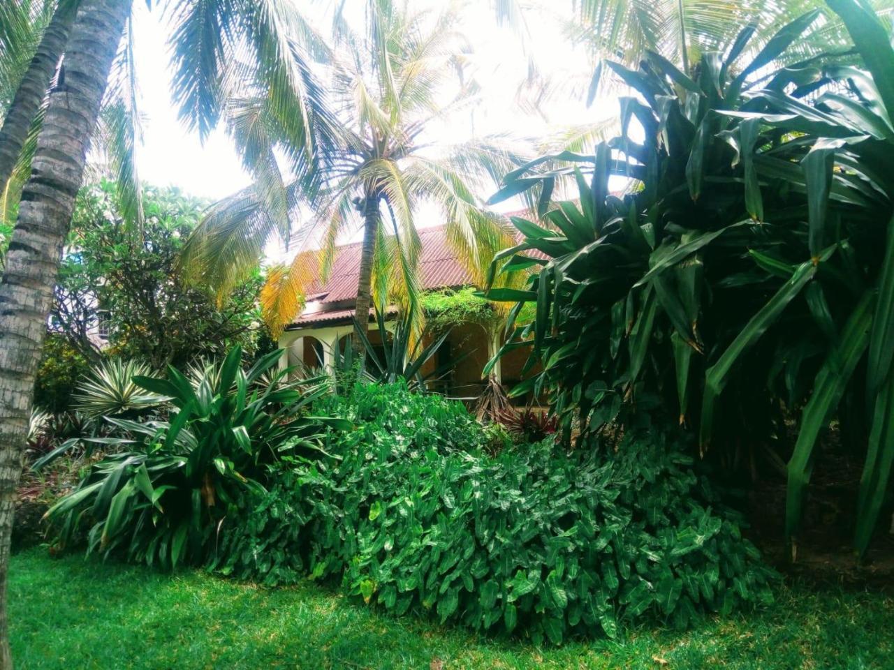 Pashmina House Bed & Breakfast Watamu Eksteriør bilde